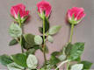 Bouquet di Rose