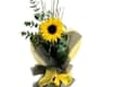 Girasoli