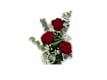Tris di Rose