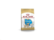 Cibo Secco Cane Royal Canin