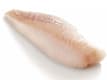 Pescheria