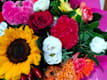 Bouquet Speciali