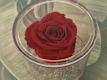 Rose Stabilizzate