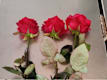 Tris di Rose