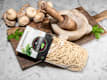 Pasta Secca