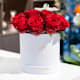 Flowers in a box