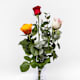 Bloemen in vaas