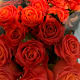 Losse oranje rozen
