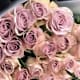 Bouquet of Roses