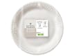 Paper Plates & Bowls