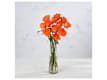 FRESH CUT FLOWERS