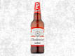 Beer & Cider Bottles