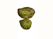 Fresh Fruit, Vegetables, Ground Food