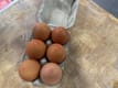 Eggs