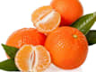 Fresh Fruits