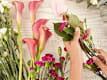 Seasonal Bouquets