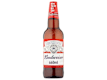Beer and Lager