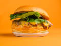 Dope Burger restaurant menu in Hull Order from Just Eat