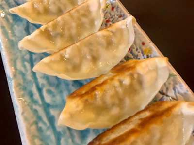 Tori Gyoza