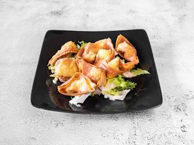 Wan Tun Frito de carne