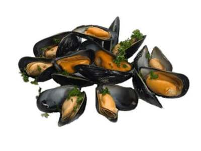 Mejillones Tigre (1 Ud.)