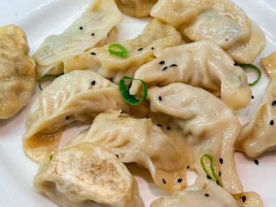 Gyoza （grande）