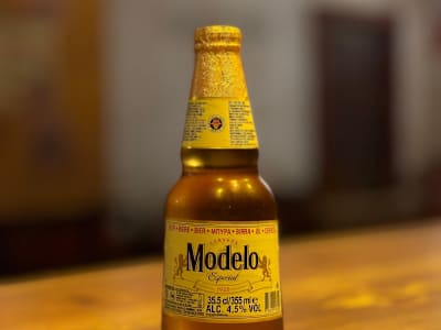 Modelo Especial