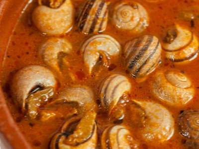 Caracoles Caseros