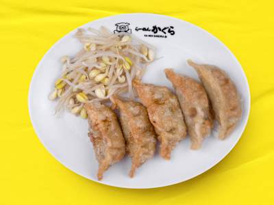 Gyozas, 5 Piezas