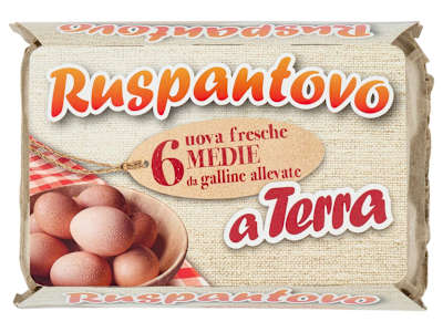 Ruspantovo 6 uova fresche Medie da galline allevate a Terra