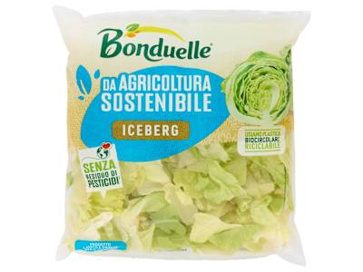 Bonduelle Iceberg 200 g