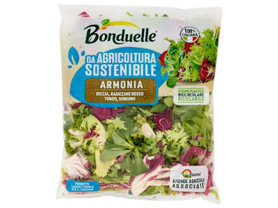 Bonduelle Armonia 170 g 