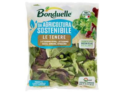 Bonduelle le Tenere 125 g 