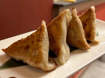 Gyoza alla Griglia