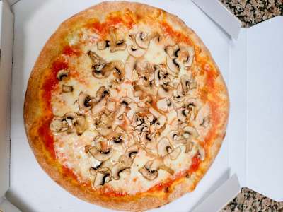 Funghi