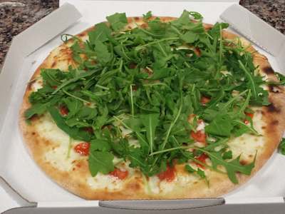 Rucola