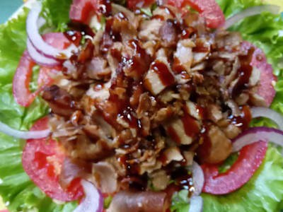 Piadina Kebab Teriyaki