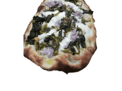 Friariella