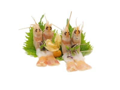 Sashimi Scampi