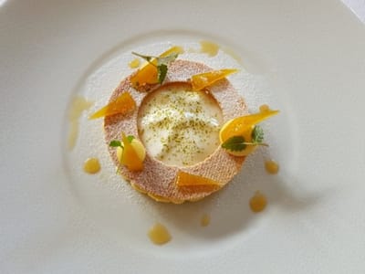 Yuzu - Minto