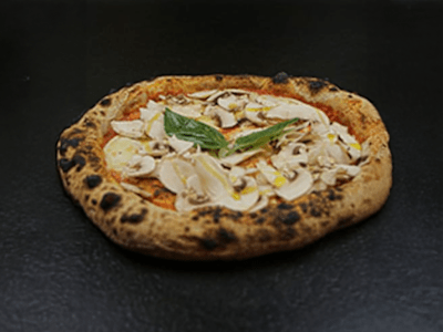 Funghi
