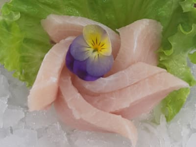 Sashimi Kajimaguro
