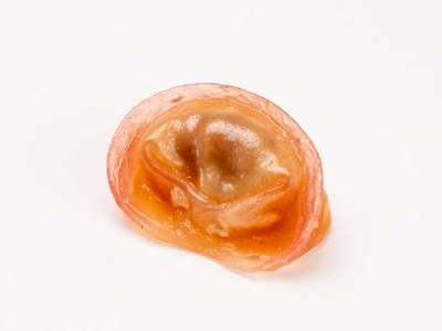 Ravioli di Manzo