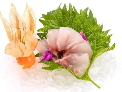 Sashimi Branzino