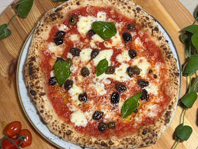 Taggiasca Maxi