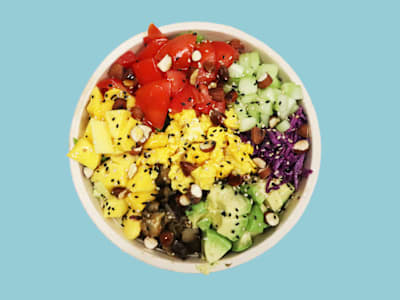 Large Pokè Paleo
