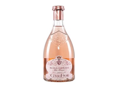 Rosa dei frati