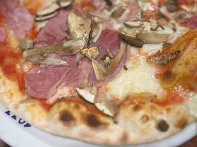 Due Stagioni ai Funghi