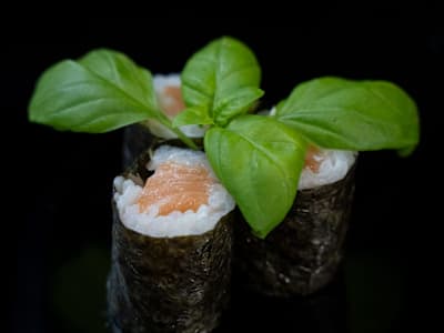 Hosoamki Salmone