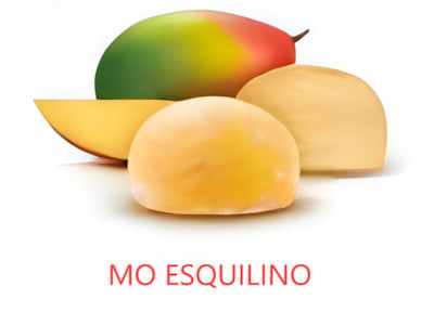 Mochi Gelato al Mango 1 Pezzo